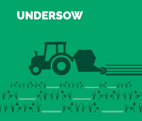 undersow graphic